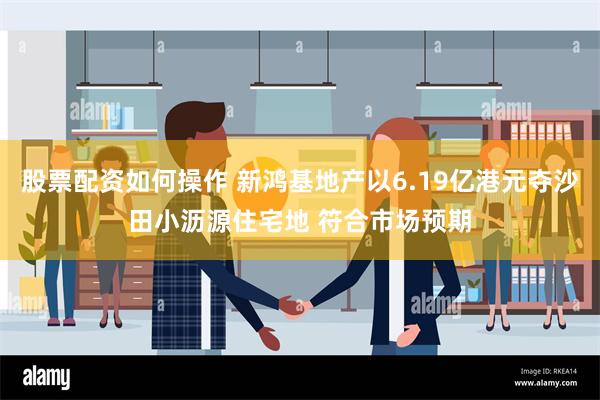 股票配资如何操作 新鸿基地产以6.19亿港元夺沙田小沥源住宅地 符合市场预期