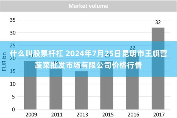 什么叫股票杆杠 2024年7月25日昆明市王旗营蔬菜批发市场有限公司价格行情