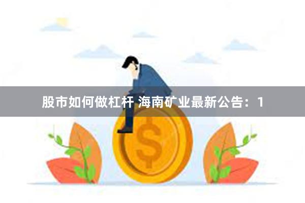 股市如何做杠杆 海南矿业最新公告：1