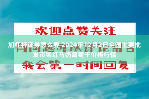 加杠杆证券怎么弄 2024年12月2日全国主要批发市场红马奶葡萄干价格行情