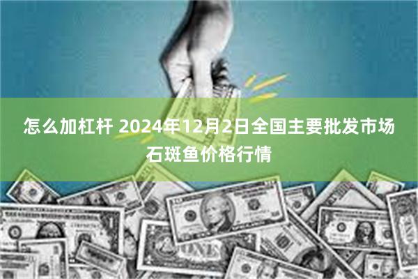 怎么加杠杆 2024年12月2日全国主要批发市场石斑鱼价格行情