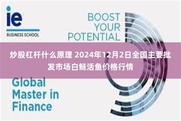 炒股杠杆什么原理 2024年12月2日全国主要批发市场白鲢活鱼价格行情