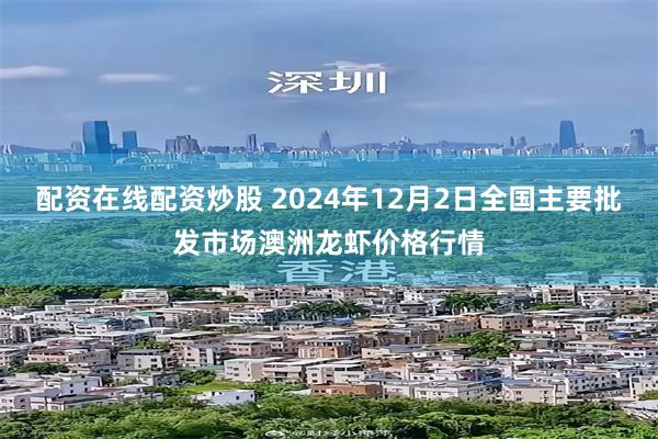 配资在线配资炒股 2024年12月2日全国主要批发市场澳洲龙虾价格行情