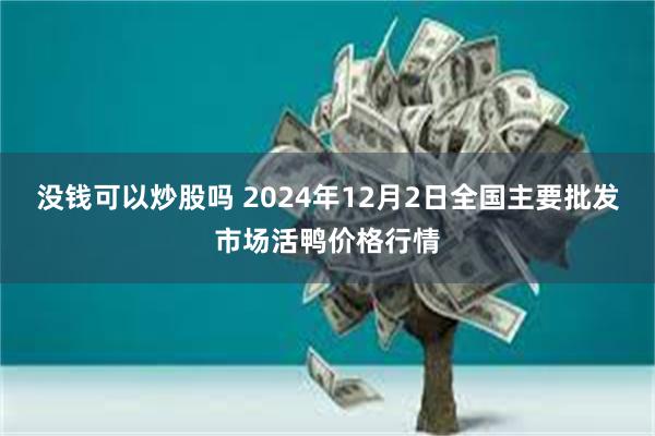 没钱可以炒股吗 2024年12月2日全国主要批发市场活鸭价格行情