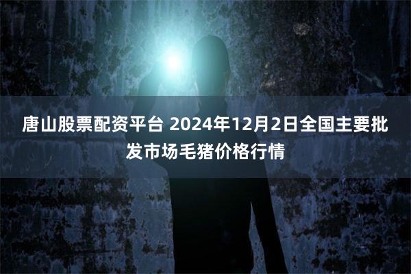 唐山股票配资平台 2024年12月2日全国主要批发市场毛猪价格行情