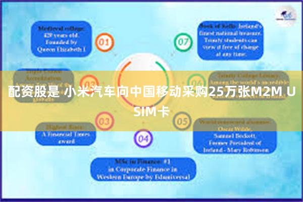 配资股是 小米汽车向中国移动采购25万张M2M USIM卡