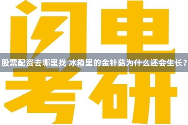 股票配资去哪里找 冰箱里的金针菇为什么还会生长？