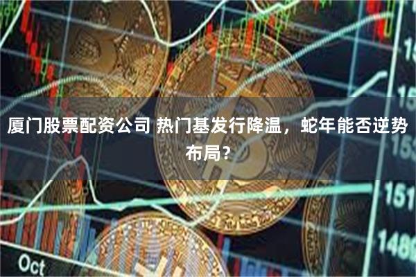 厦门股票配资公司 热门基发行降温，蛇年能否逆势布局？