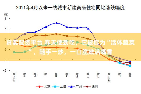 真实配资平台 春天使劲吃，它被称为“活体蔬菜”，随手一炒，一口脆嫩满嘴香